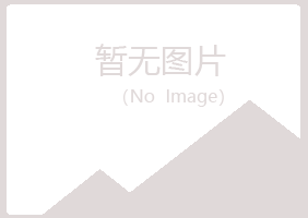 平山区残留会计有限公司